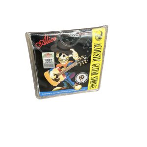 AKUSTİK GİTAR TELİ