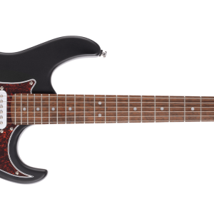 ELEKTRO GİTAR, OPEN PORE SİYAH, (H-S-S)